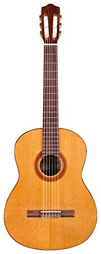 Cordoba C5 Acoustic Nylon String Classical Guitar with Gig Bag