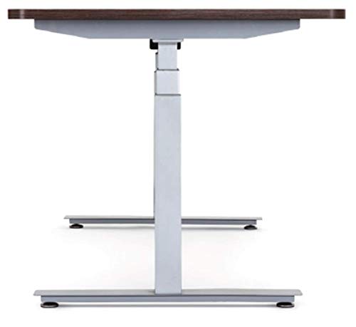 Rise UP Electric Adjustable Height Width Standing Desk Legs Frame Base. Ergonomic Motorized sit to Stand up Home Commercial Office Table. Dual 2 Motors. 4 Programmable Memory. Gray