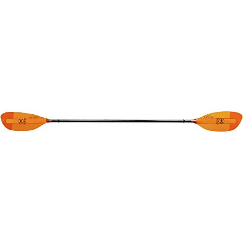 Werner Shuna Fiberglass 2-Piece Paddle - Straight Shaft Swellz Blue, Standard,215cm