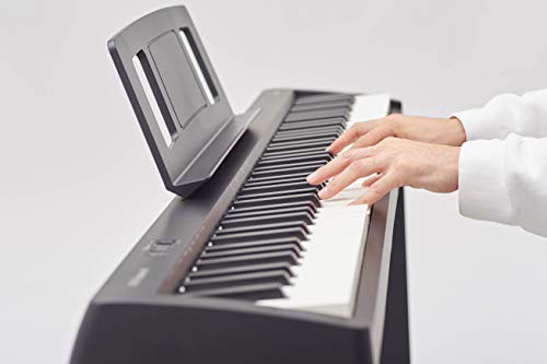 Roland FP-10 Digital Piano Bundle with Furniture Stand, Bench, Sustain Pedal, Austin Bazaar Instructional DVD, and Polishing Cloth