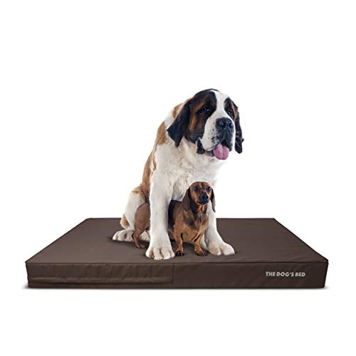 The Dog’s Bed Orthopedic Dog Bed XXXL Brown Oxford 64x44, Premium Memory Foam, Pain Relief