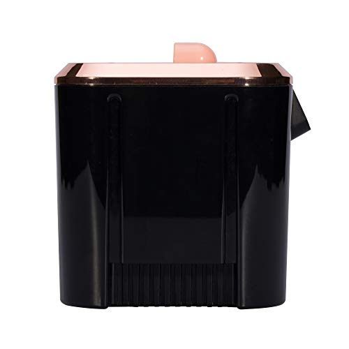 iSonic DS310B-CE Miniaturized Commercial Ultrasonic Cleaner For Jewelry, Eyeglasses, 220V 55W, VDE Plug