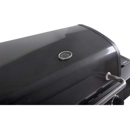 RevoAce 4-Burner LP Gas Grill with Side Burner, Pewter Fleck
