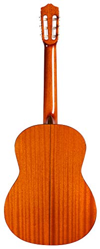 Cordoba C5 Acoustic Nylon String Classical Guitar with Gig Bag