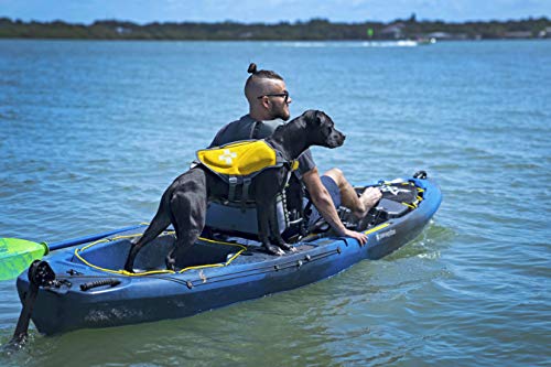 Perception Pescador Pilot 12 | Sit on Top Fishing Kayak with Pedal Drive | Adjustable Lawn Chair Seat and Tackle Storage Areas | 12' | Dapper