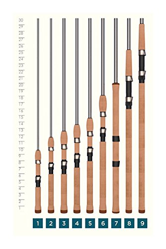 St. Croix AVS70MHF Avid Graphite Spinning Fishing Rod with IPC Technology, 7-feet