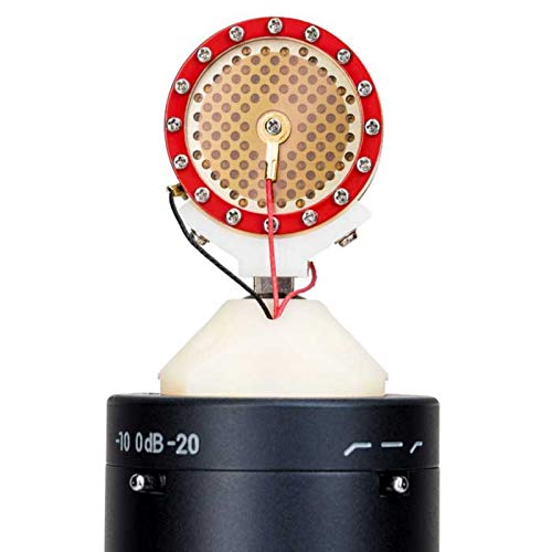 sE Electronics SE2300 Large-Diaphragm Condenser Microphone