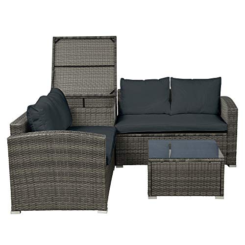 Danxee Outdoor Patio 4 Piece Conversation Set Wicker Rattan Sectional Sofa W/ Loveseat Coffee Table & Storage Ottoman Backyard Porch Lawn