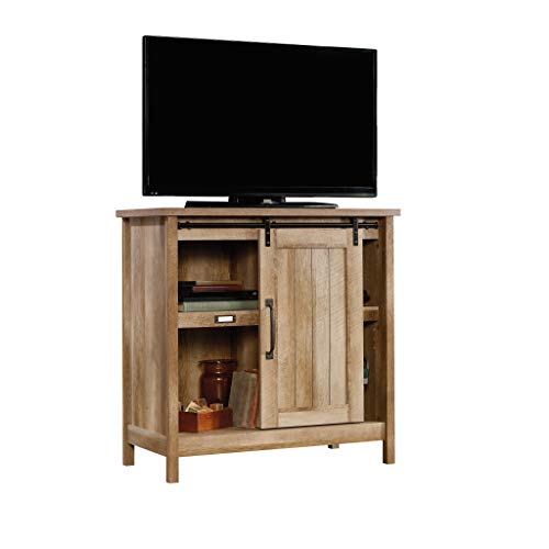 Sauder Adept Storage Accent Storage Cabinet, For TV's up to 39", Craftsman Oak finish