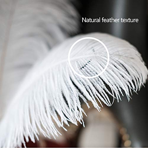 LanShi Natural 16-18 inch(40-45cm) Ostrich Feathers Plume for Wedding Centerpieces Home Decoration Black 50Pcs