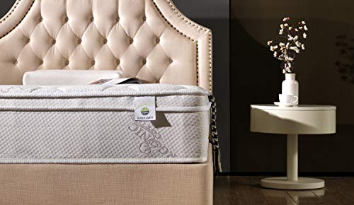 Oliver Smith Organic Cotton 12in Plush Euro Pillow Top Cool Memory Foam & Pocket Spring Mattress Green Foam Certified California King