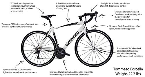 Tommaso Forcella Endurance Aluminum Road Bike, Carbon Fork, Shimano Claris R2000, 24 Speeds, Aero Wheels - Matte White - Large