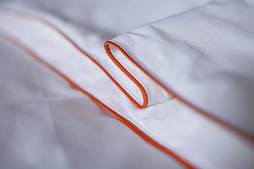 Silk Camel Luxury Allergy Free Comforter Filled with 100% Natural Long Strand Mulberry Silk for Fall/Autumn - King Size