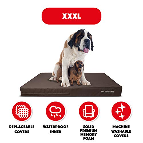 The Dog’s Bed Orthopedic Dog Bed XXXL Brown Oxford 64x44, Premium Memory Foam, Pain Relief