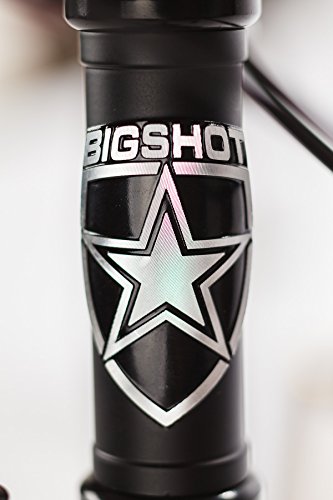 Big Shot Bikes Single Speed or Fixed Gear Custom Fixed Gear Bikes Matte Black & Gold Accents