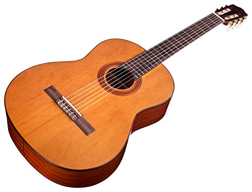 Cordoba C5 Acoustic Nylon String Classical Guitar with Gig Bag