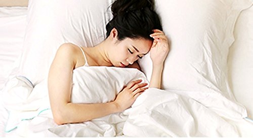 Silk Camel Luxury Allergy Free Comforter Filled with 100% Natural Long Strand Mulberry Silk for Fall/Autumn - King Size