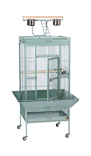 Prevue Pet Products Wrought Iron Select Bird Cage 3152SAGE Sage Green, 24-Inch by 20-Inch by 60-Inch