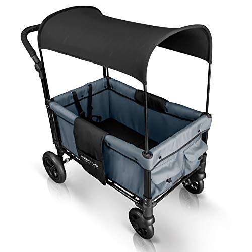 WONDERFOLD W1 Multi-Function 2 Passenger Push Folding Stroller Wagon, Adjustable & Removable Canopy, Double Seats with 5-Point Harness (Smoky Gray)