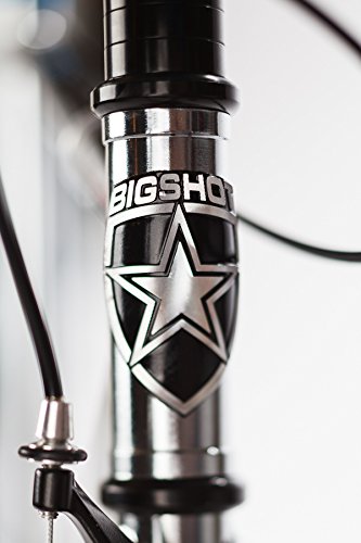 Big Shot Bikes Dreamer Blue Single Speed Custom Fixed Gear Bikes Small