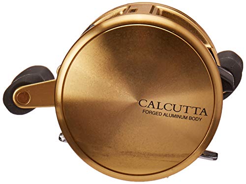 SHIMANO Calcutta 200GTB Round Baitcating Freshwater Reel