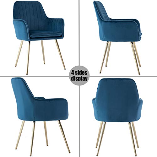 GOLDEN BEACH 2Pc Elegant Velvet Dinning Modern Leisure Upholstered Chair w/ Gold Plating Legs (Navy Blue)