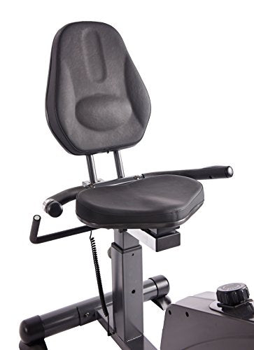 Stamina Elite Total Body Recumbent Bike with Upper Body and Lower Body Exercise
