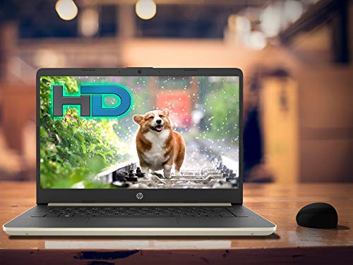 HP 14 (8DU55UA) Laptop,14" HD Display, Intel Core i5-1035G1 Upto 3.6GHz - Champagne Gold