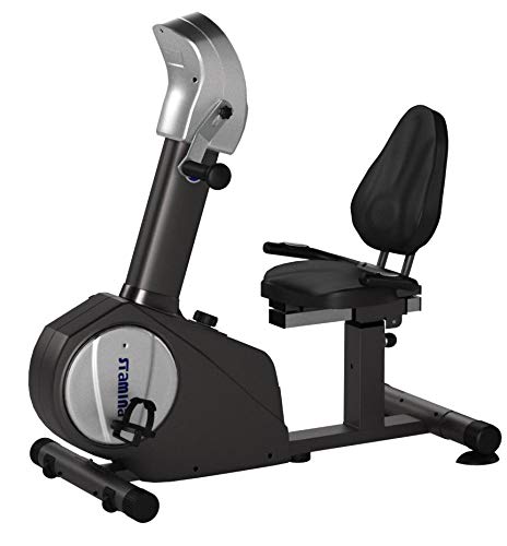 Stamina Elite Total Body Recumbent Bike with Upper Body and Lower Body Exercise