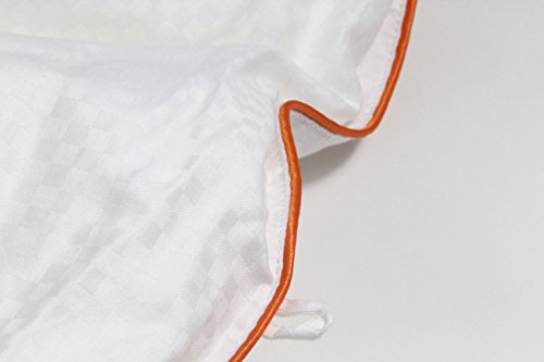 Silk Camel Luxury Allergy Free Comforter Filled with 100% Natural Long Strand Mulberry Silk for Fall/Autumn - King Size