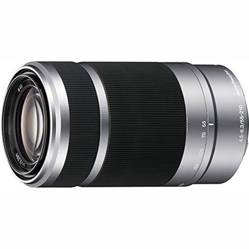 Sony a6100 Mirrorless Camera 4K APS-C ILCE-6100YB S 2 Lens Kit 16-50mm + 55-210mm Silver Bundle with Deco Gear Case + Extra Battery + Flash + Wide Angle & Telephoto Lens + Filter Set 64GB Accessories