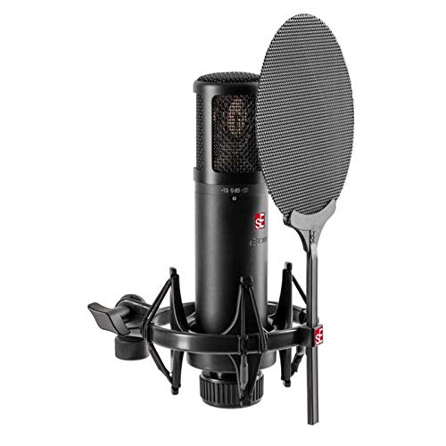 sE Electronics SE2300 Large-Diaphragm Condenser Microphone