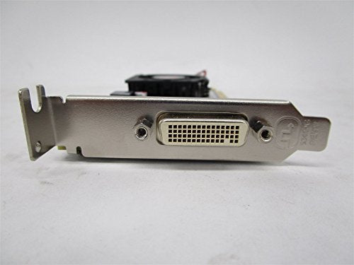 AMD Radeon HD 6350 512MB Small Form Factor / Low Profile DMS-59 Dual Monitor PCI-E x16 Video Card (Renewed)