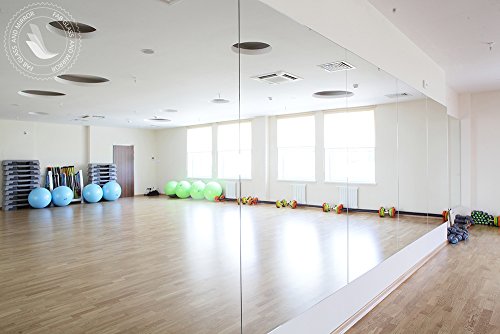 Fab Glass and Mirror GM48x60 Activity Mirror Kit for Gym & Dance with Safety Backing, 48" x 60"