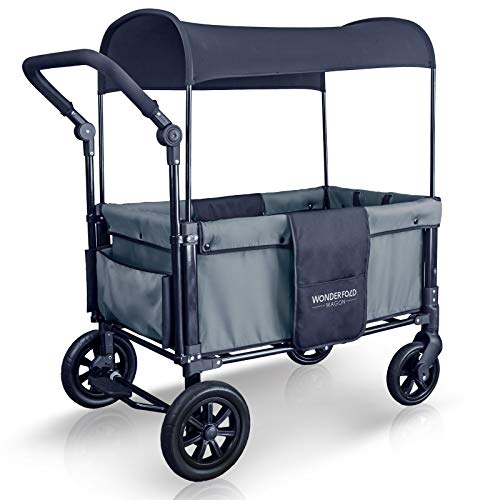 WONDERFOLD W1 Multi-Function 2 Passenger Push Folding Stroller Wagon, Adjustable & Removable Canopy, Double Seats with 5-Point Harness (Smoky Gray)