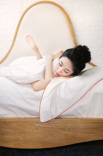 Silk Camel Luxury Allergy Free Comforter Filled with 100% Natural Long Strand Mulberry Silk for Fall/Autumn - King Size