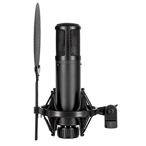 sE Electronics SE2300 Large-Diaphragm Condenser Microphone