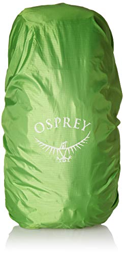 Osprey Packs Kyte 36 Women's Backpack, Siren Grey, WS/Medium
