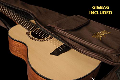 Washburn Apprentice G-Mini 5 with Gig Bag, Acoustic Guitar