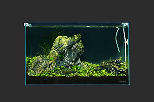 Landen 60P 23 Gallon Rimless Low Iron Aquarium Tank, 23.6" W × 15.7" D × 15.7" H (60cm x 40cm x 40cm) 8mm Thickness 111005