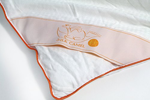 Silk Camel Luxury Allergy Free Comforter Filled with 100% Natural Long Strand Mulberry Silk for Fall/Autumn - King Size