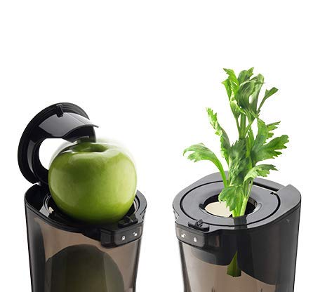 Kuvings Whole Slow Juicer EVO820CG Higher Nutrients and Vitamins, BPA-Free Components, Easy to Clean, Ultra Efficient 240W, 50RPMs, Includes Smoothie and Blank Strainer (DARK RED)