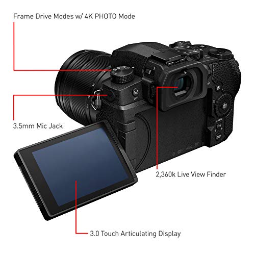 Panasonic 20.3 Megapixel Mirrorless Camera 12-60mm F3.5-5.6 Micro Four Thirds Lens 5-Axis Dual I.S. 2 4K 24p 30p Video Pre Installed L 3” Flip Out