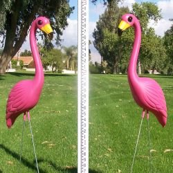 12 Plastic Pink Flamingos, XL Premium Yard Flamingos.