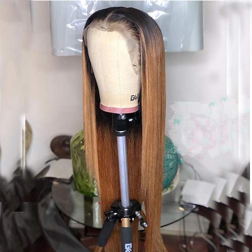 1B/27 Ombre Color Lace Front Wigs Human Hair for Black Women Bleached Knots Straight Brazilian Remy Hair Wigs With Baby Hairs Pre Plucked (12)