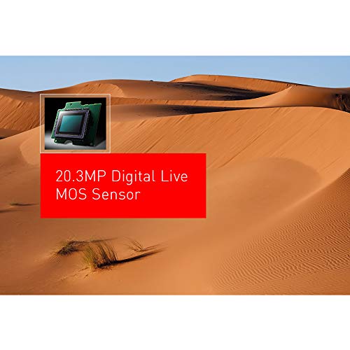 Panasonic 20.3 Megapixel Mirrorless Camera 12-60mm F3.5-5.6 Micro Four Thirds Lens 5-Axis Dual I.S. 2 4K 24p 30p Video Pre Installed L 3” Flip Out