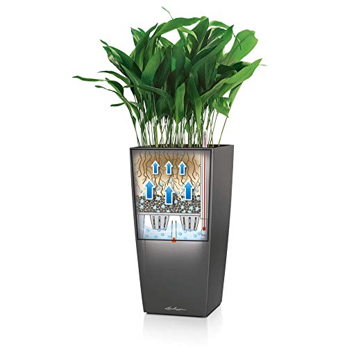 LECHUZA CUBICO 40 Self Watering Planter Garden Flower Plant Pot Indoor/Outdoor Floor Planter with Drainage Hole and Plant Substrate Poly Resin H75 L40 W40 cm Black High-Gloss