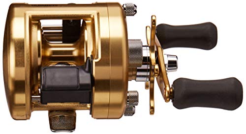 SHIMANO Calcutta 200GTB Round Baitcating Freshwater Reel