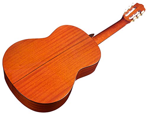 Cordoba C5 Acoustic Nylon String Classical Guitar with Gig Bag