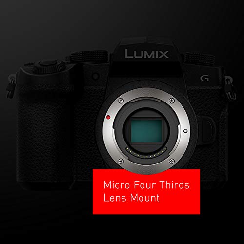 Panasonic 20.3 Megapixel Mirrorless Camera 12-60mm F3.5-5.6 Micro Four Thirds Lens 5-Axis Dual I.S. 2 4K 24p 30p Video Pre Installed L 3” Flip Out